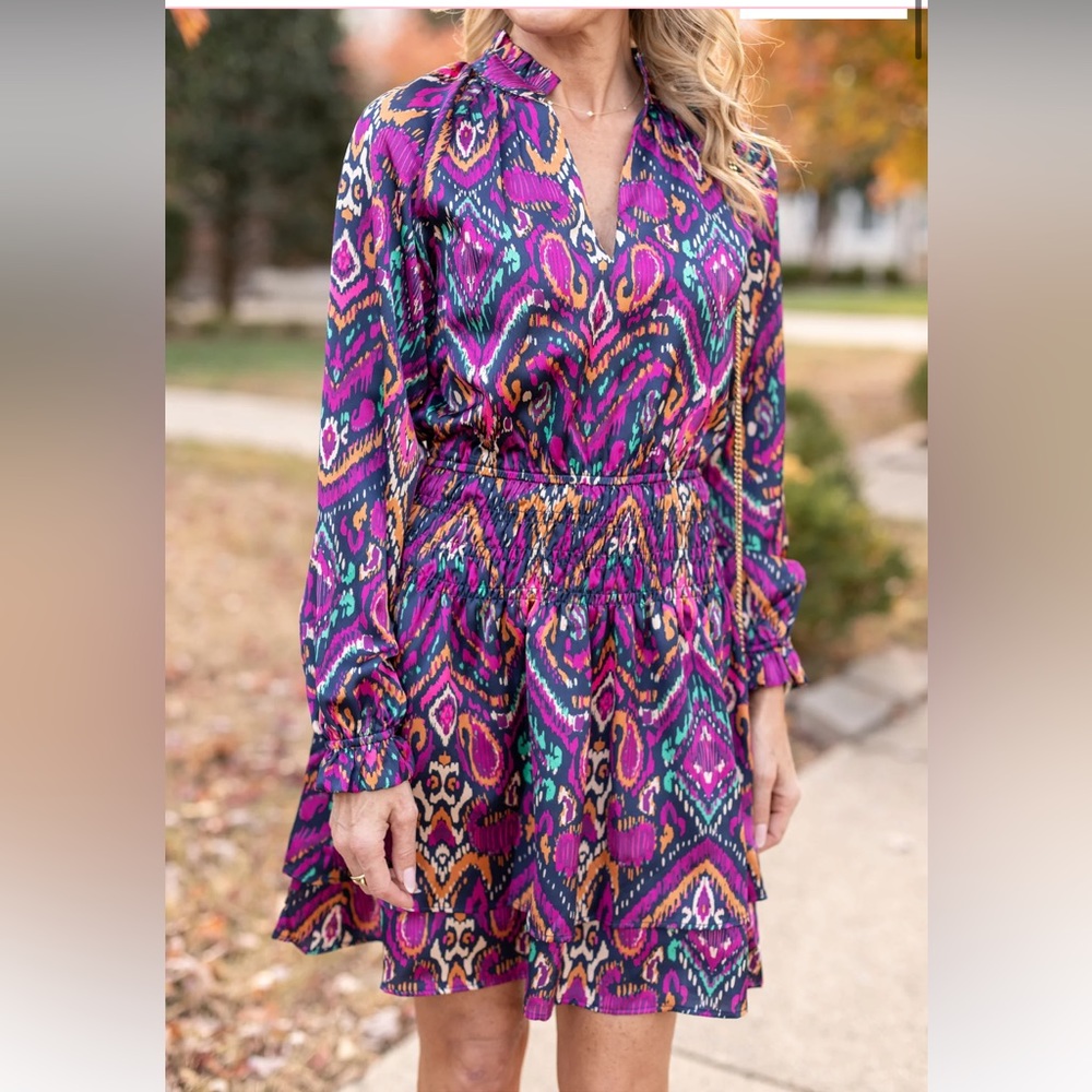 Pinch Purple Multi Ikat Print Long Sleeve Dress